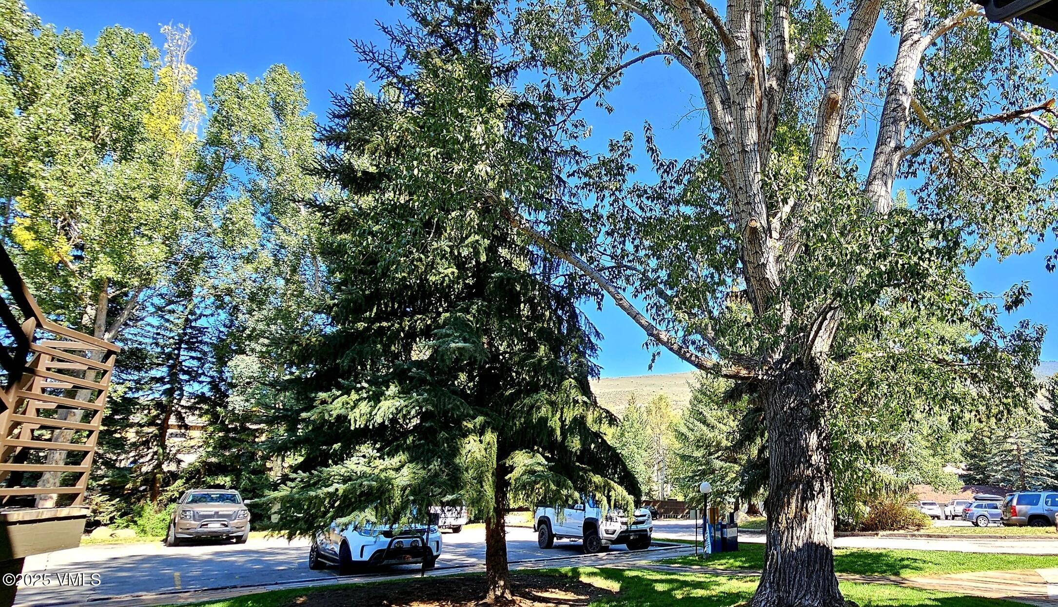 165 Gopher Road, Unit 25 Avon, CO 81620 - Photo 2 of 17 a view of a yard with plants and trees
