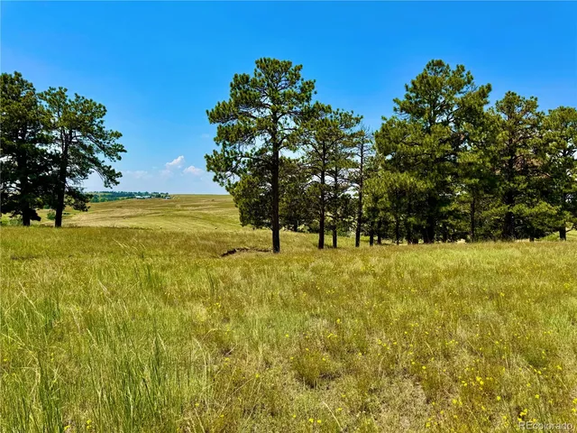 a view of yard with swimming pool and trees