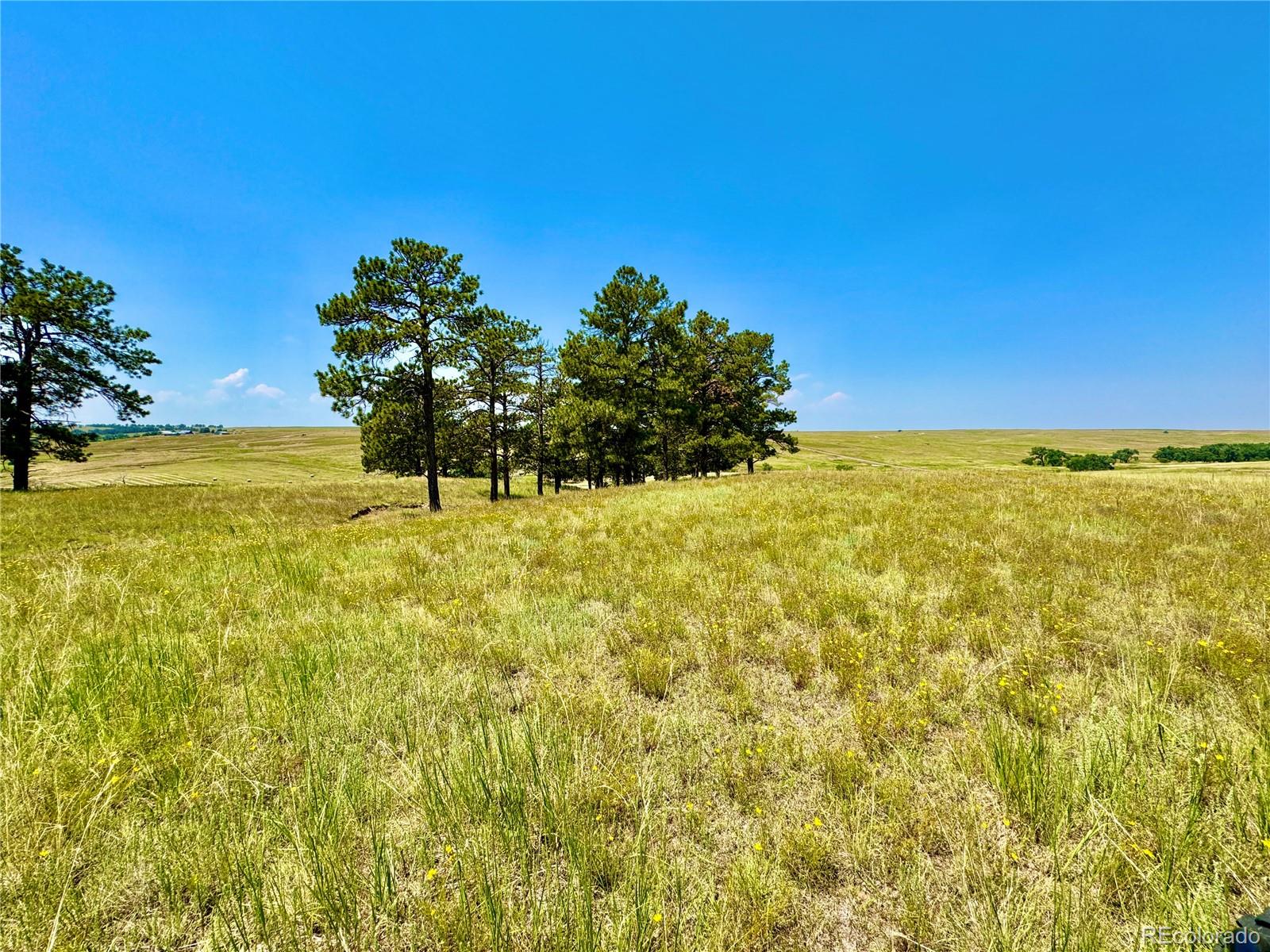 Stillness Loop Kiowa, CO 80117 - Photo 16 of 28 a view of an ocean from a yard