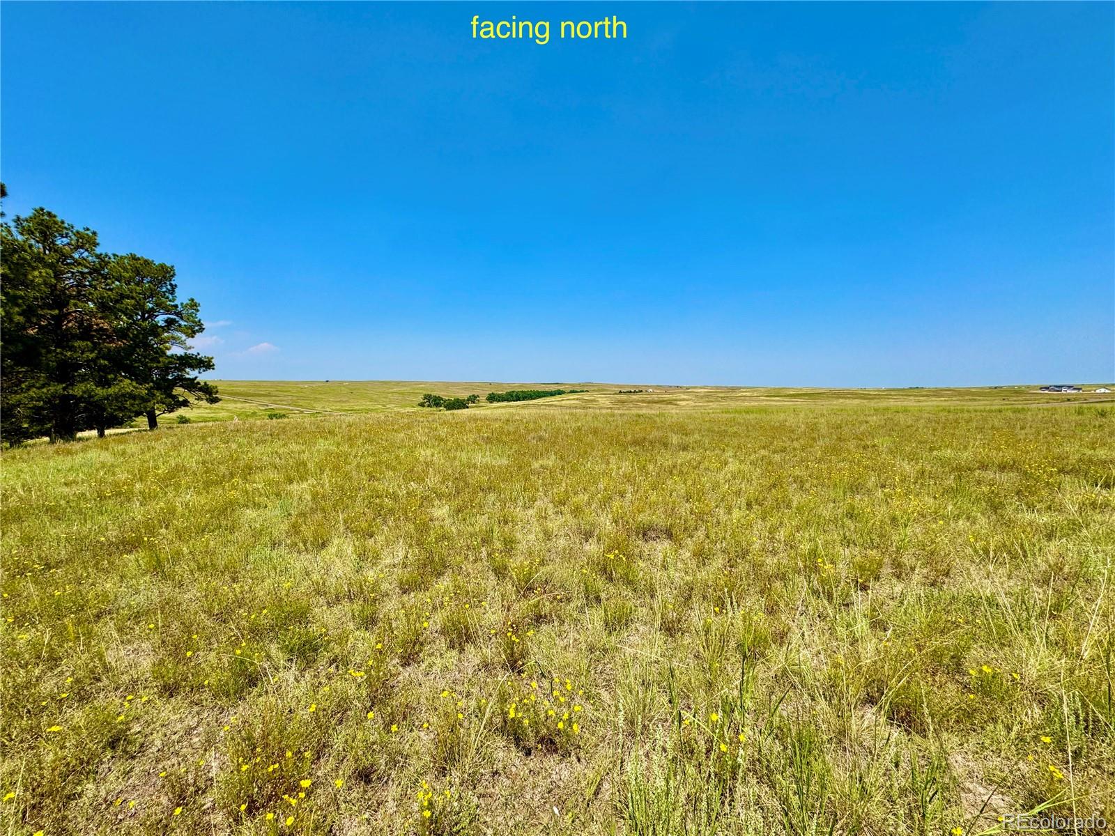Stillness Loop Kiowa, CO 80117 - Photo 17 of 28 a view of beach and an ocean