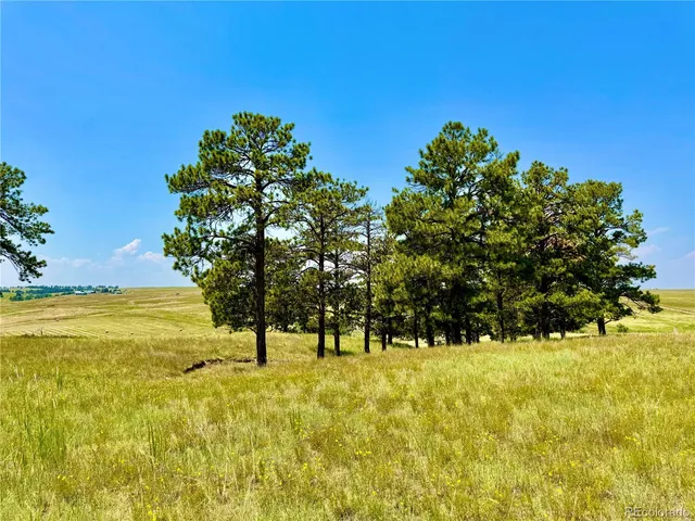 a view of an outdoor space and swimming pool