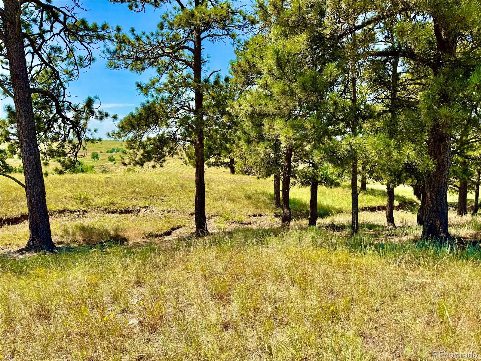 Stillness Loop Kiowa, CO 80117 - Photo 20 of 28 a view of an ocean