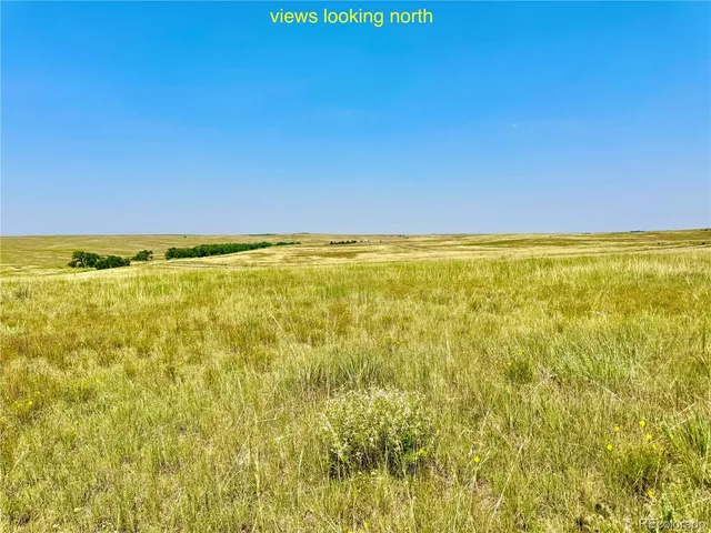 a view of beach and swimming pool