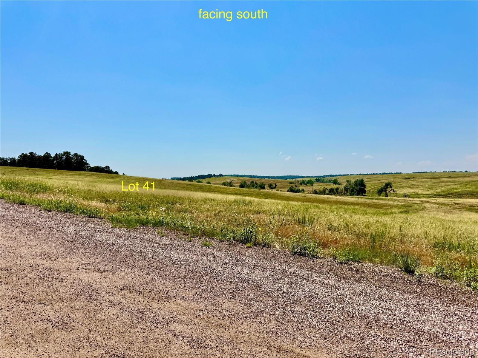 Stillness Loop Kiowa, CO 80117 - Photo 26 of 28 a view of a lake with a beach