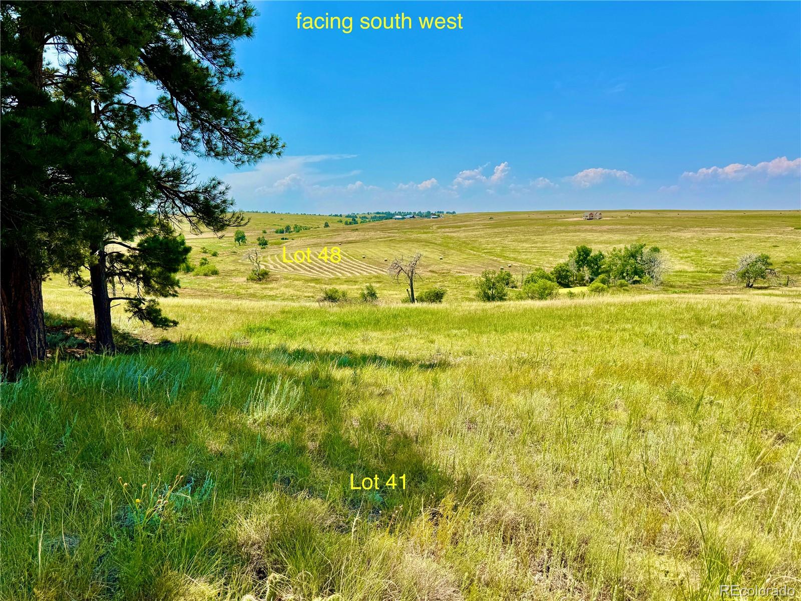 Stillness Loop Kiowa, CO 80117 - Photo 27 of 28 a view of an ocean from a yard