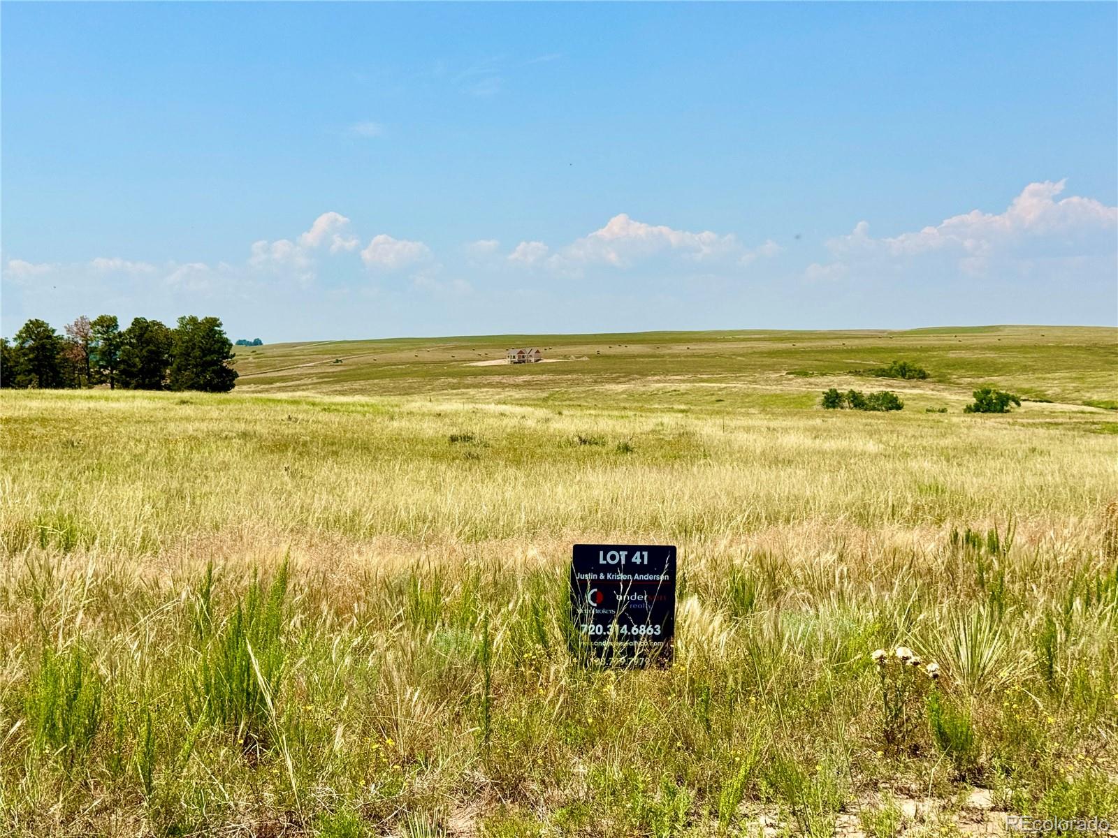 Stillness Loop Kiowa, CO 80117 - Photo 28 of 28 a view of an ocean from a beach