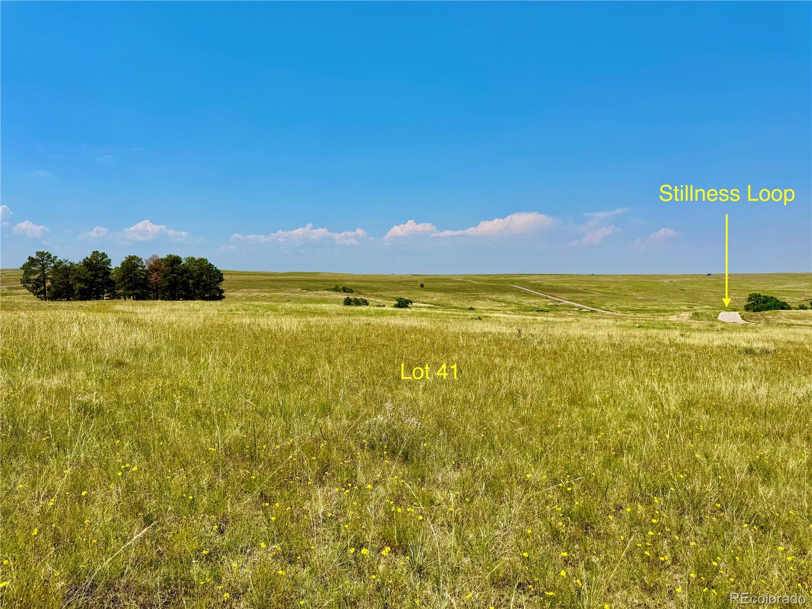Stillness Loop Kiowa, CO 80117 - Photo 6 of 28 a view of an ocean from a yard