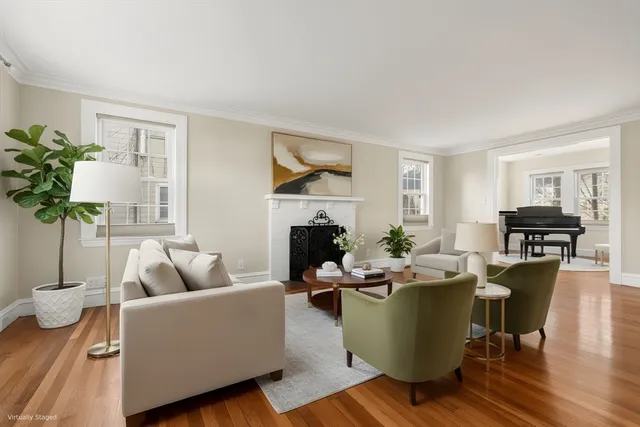 a living room with furniture potted plant and a window