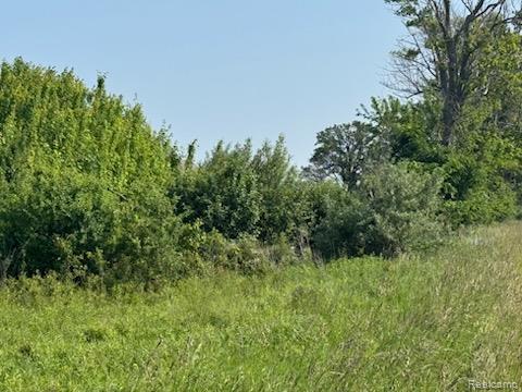 1 Duquette Road Peck, MI 48466 - Photo 9 of 40