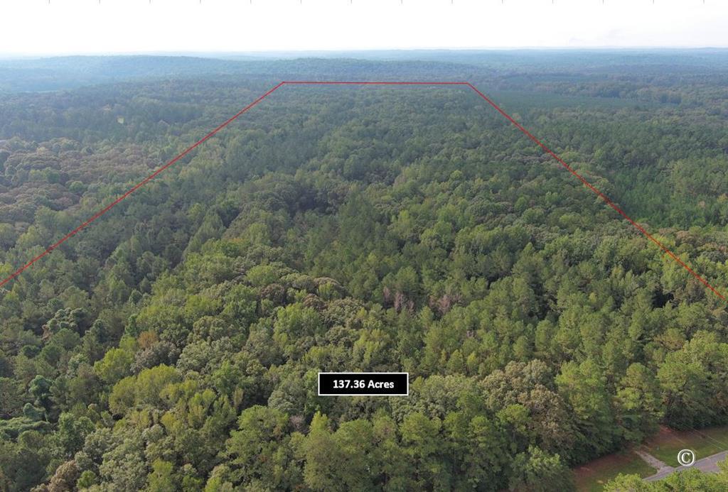 Lot Size Lot Size Road Hamilton, GA 31811 - Photo 1 of 23 Main View