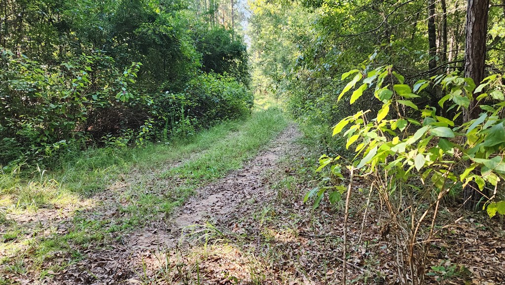 Lot Size Lot Size Road Hamilton, GA 31811 - Photo 12 of 23
