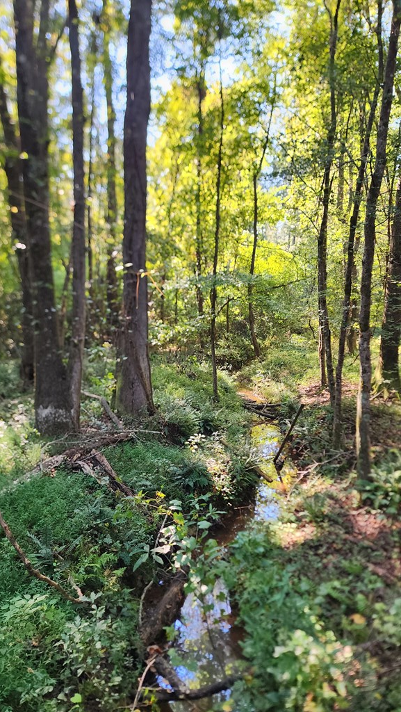 Lot Size Lot Size Road Hamilton, GA 31811 - Photo 14 of 23