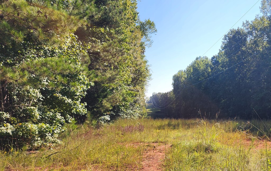 Lot Size Lot Size Road Hamilton, GA 31811 - Photo 17 of 23