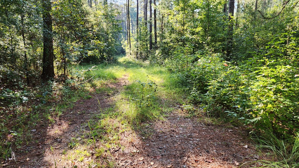 Lot Size Lot Size Road Hamilton, GA 31811 - Photo 18 of 23