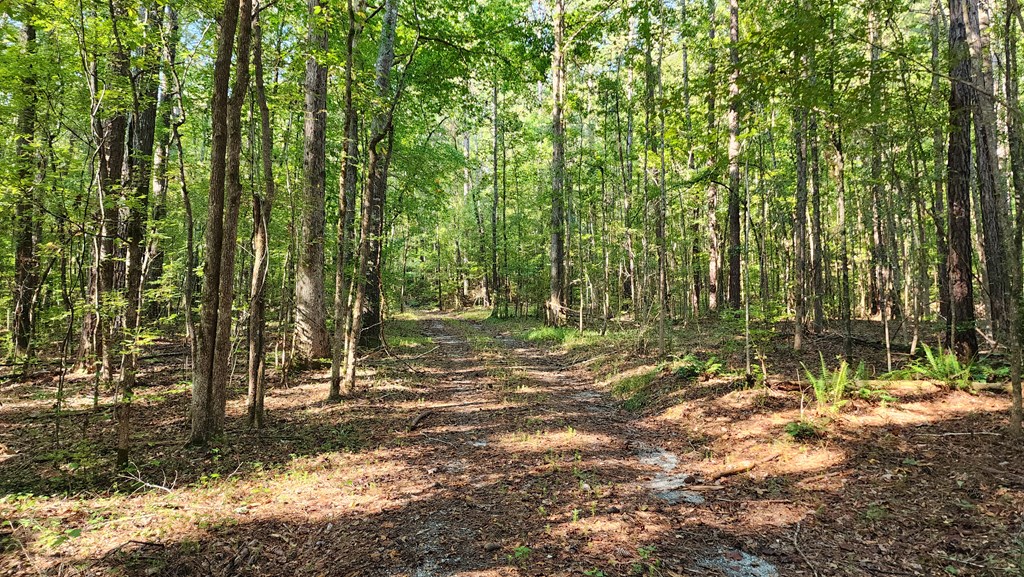 Lot Size Lot Size Road Hamilton, GA 31811 - Photo 19 of 23