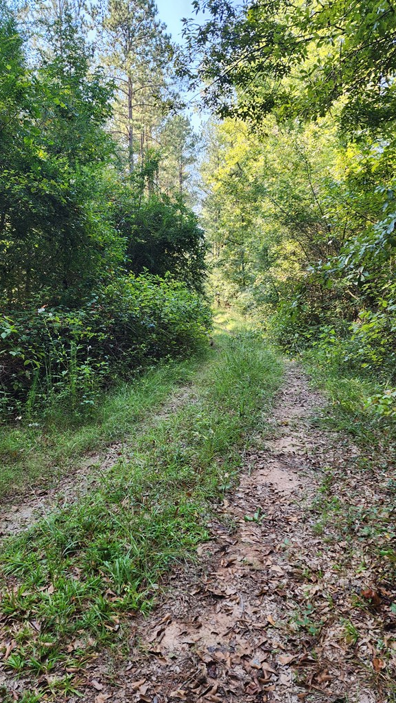 Lot Size Lot Size Road Hamilton, GA 31811 - Photo 20 of 23