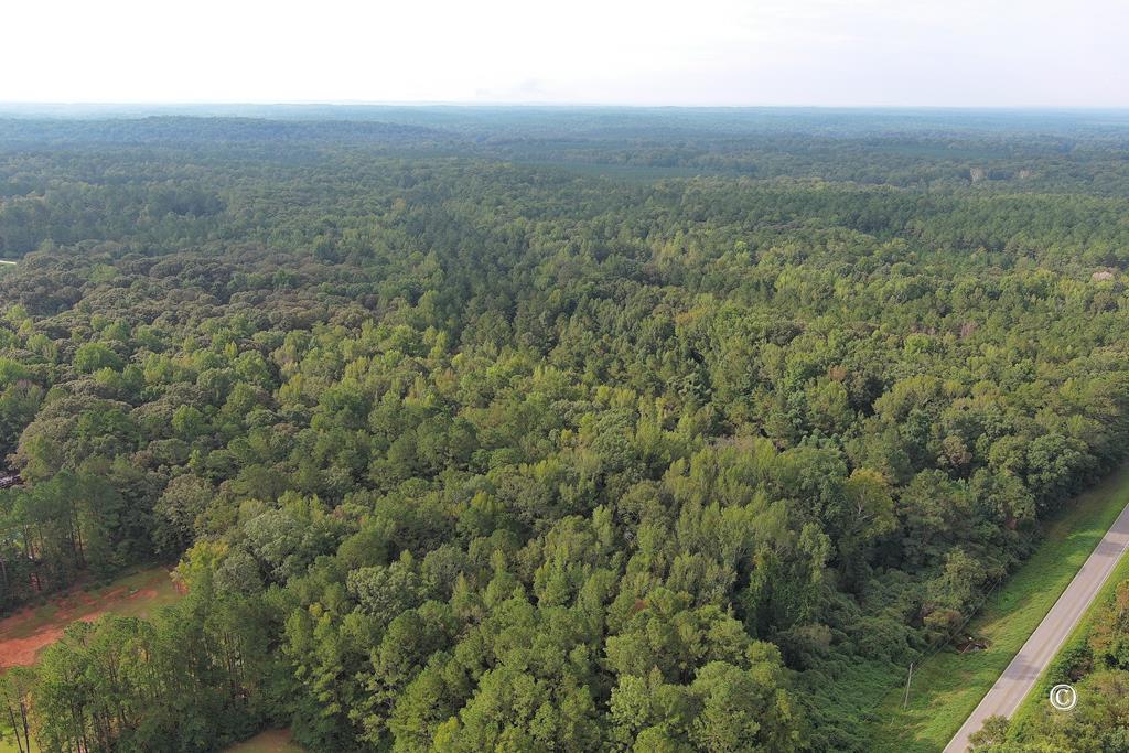 Lot Size Lot Size Road Hamilton, GA 31811 - Photo 22 of 23
