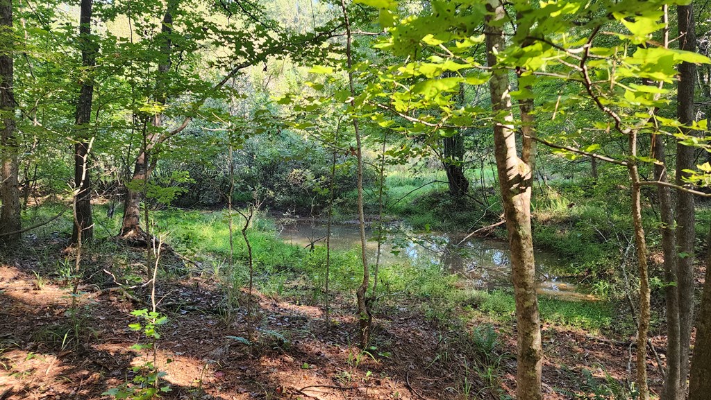 Lot Size Lot Size Road Hamilton, GA 31811 - Photo 3 of 23