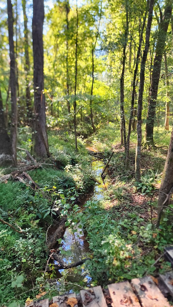 Lot Size Lot Size Road Hamilton, GA 31811 - Photo 6 of 23