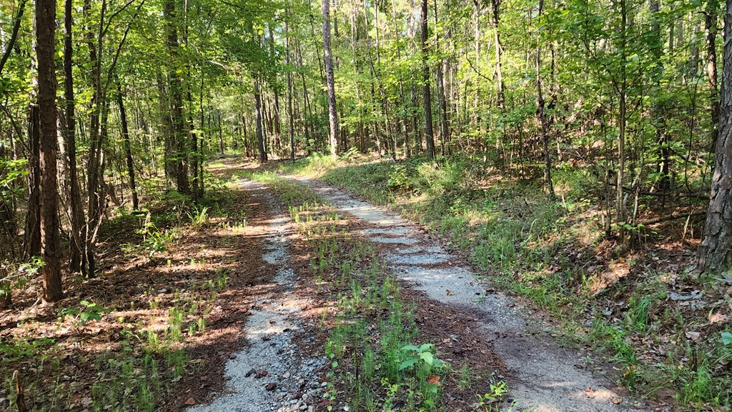 Lot Size Lot Size Road Hamilton, GA 31811 - Photo 7 of 23