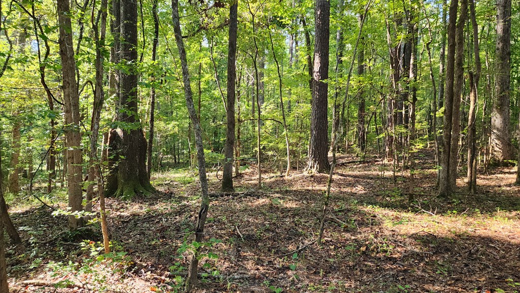 Lot Size Lot Size Road Hamilton, GA 31811 - Photo 8 of 23