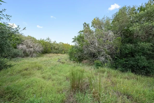 a view of a lush green space