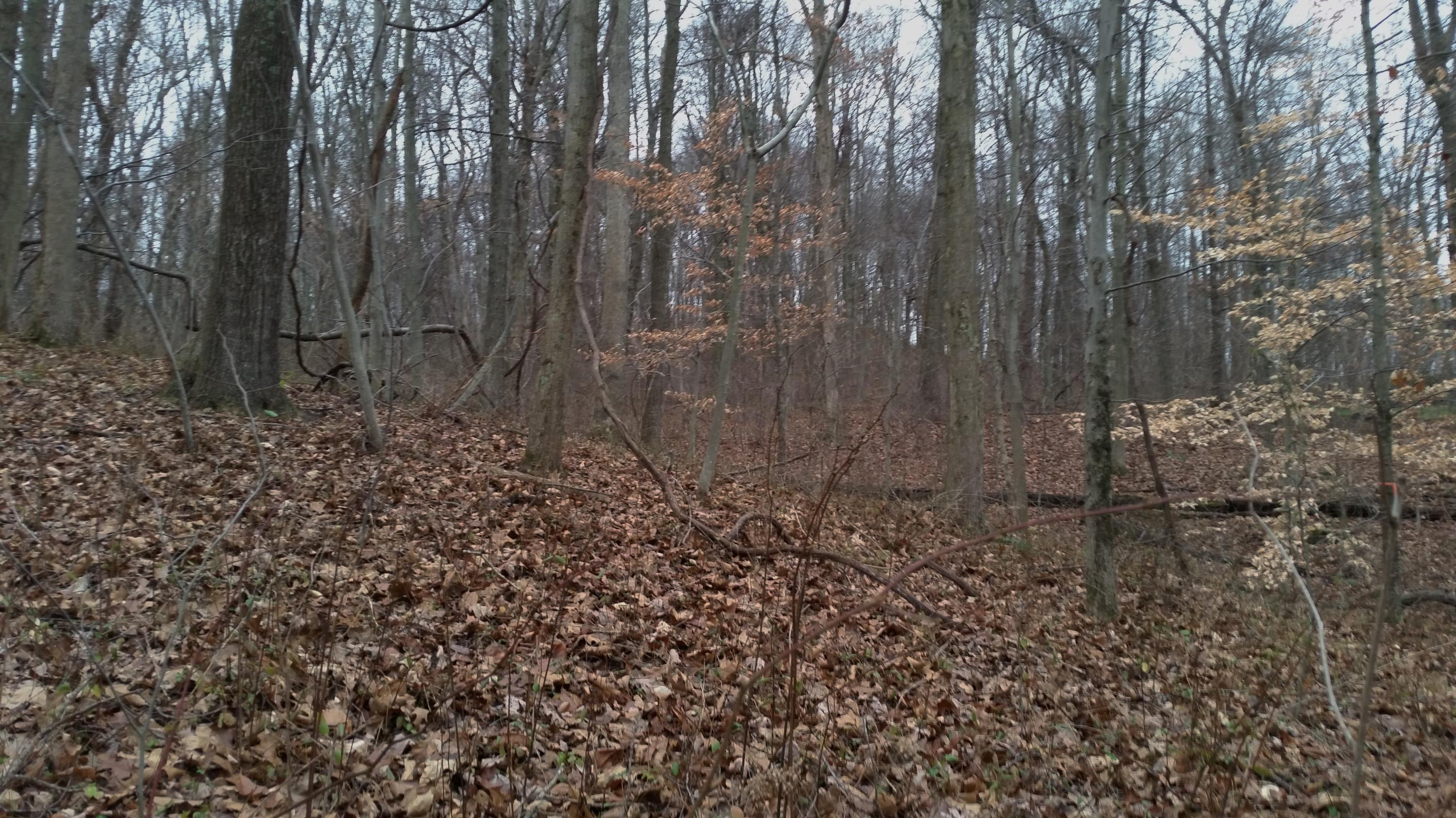 0 Hopewell Church Road Southwest Lancaster, OH 43130 - Photo 5 of 7