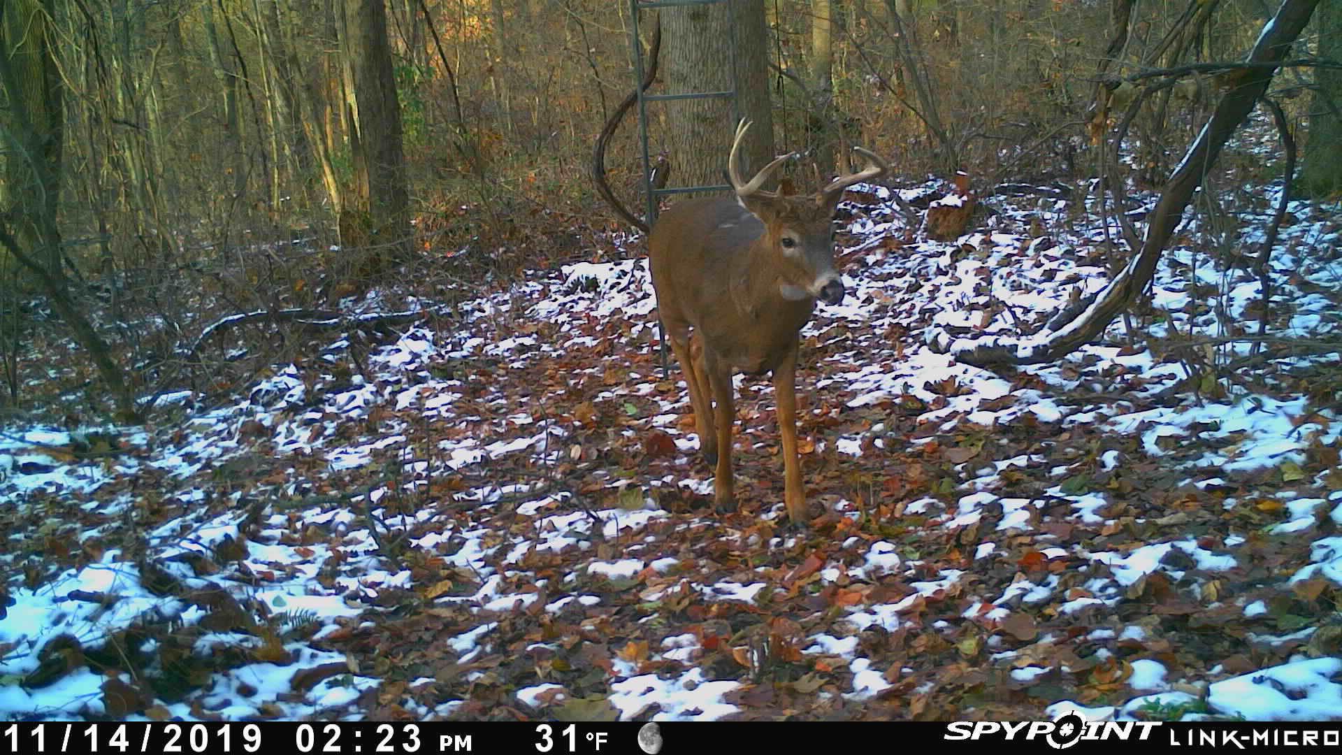 0 Hopewell Church Road Southwest Lancaster, OH 43130 - Photo 7 of 7