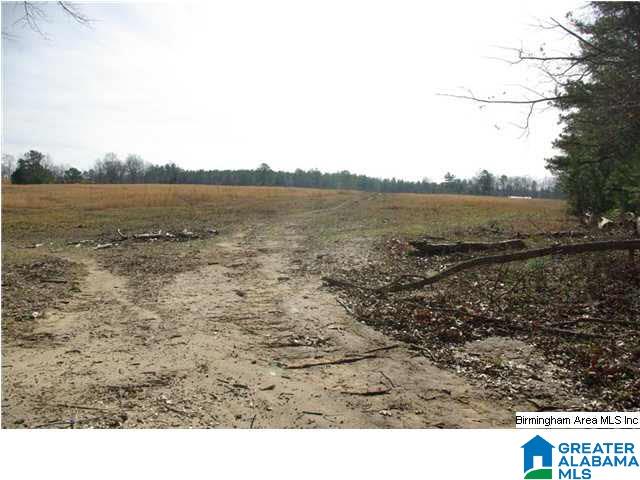 4 Horton Mill Road, Unit 5 Cleveland, AL 35049 - Photo 4 of 28
