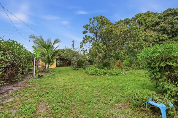 a view of a garden with a tree