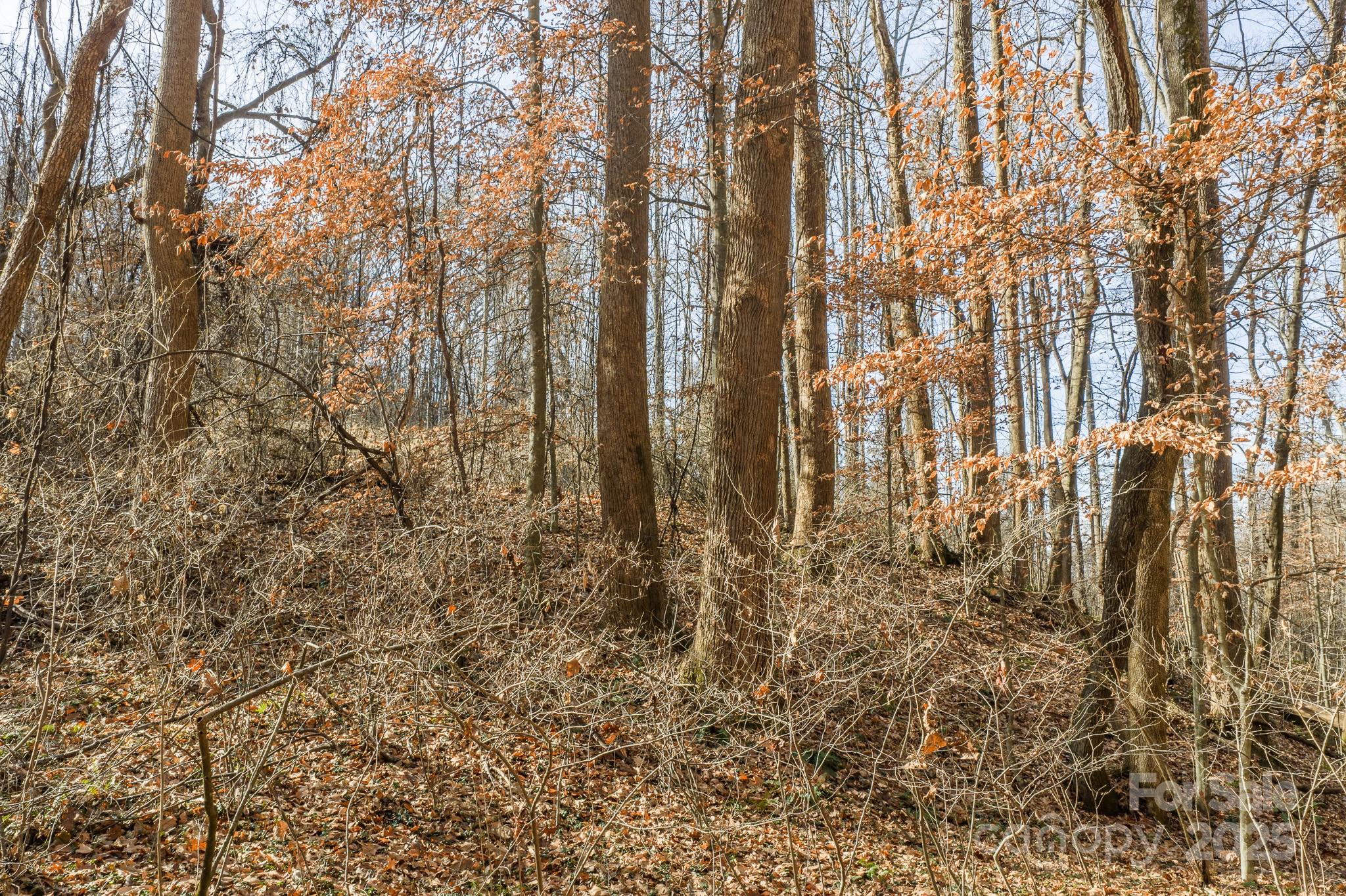 0 East Brocktown Road Moravian Falls, NC 28654 - Photo 11 of 31