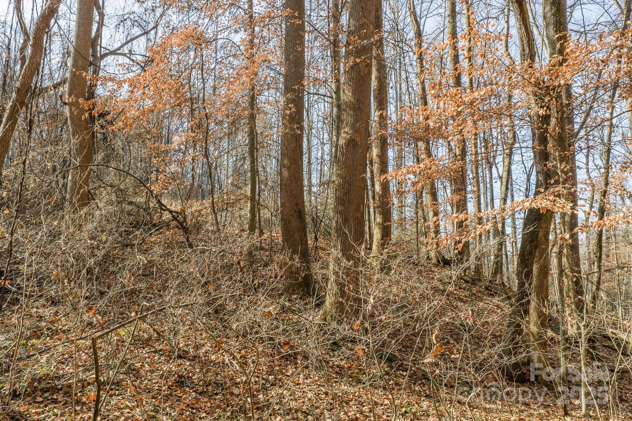 0 East Brocktown Road Moravian Falls, NC 28654 - Photo 12 of 31