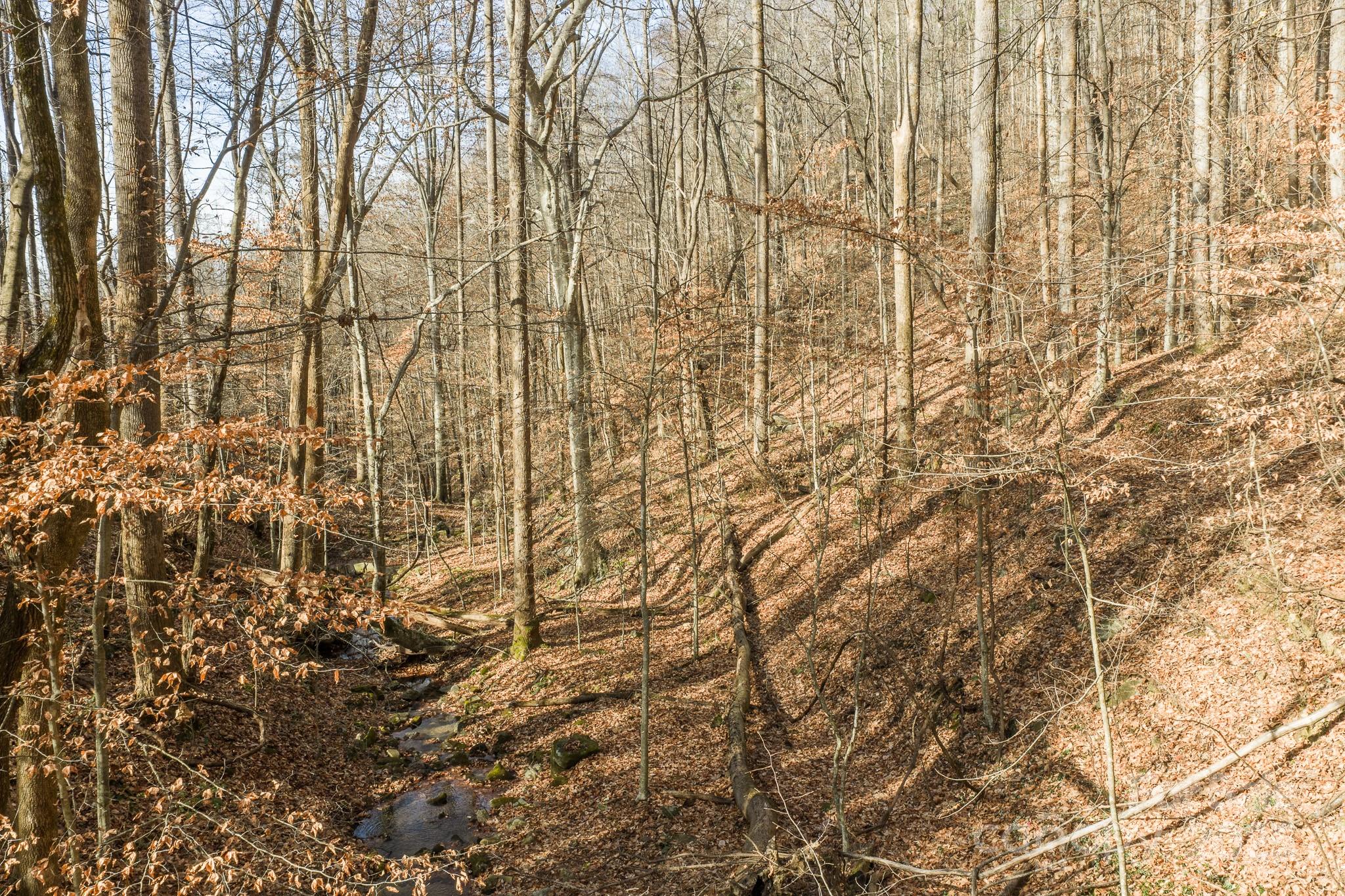 0 East Brocktown Road Moravian Falls, NC 28654 - Photo 13 of 31