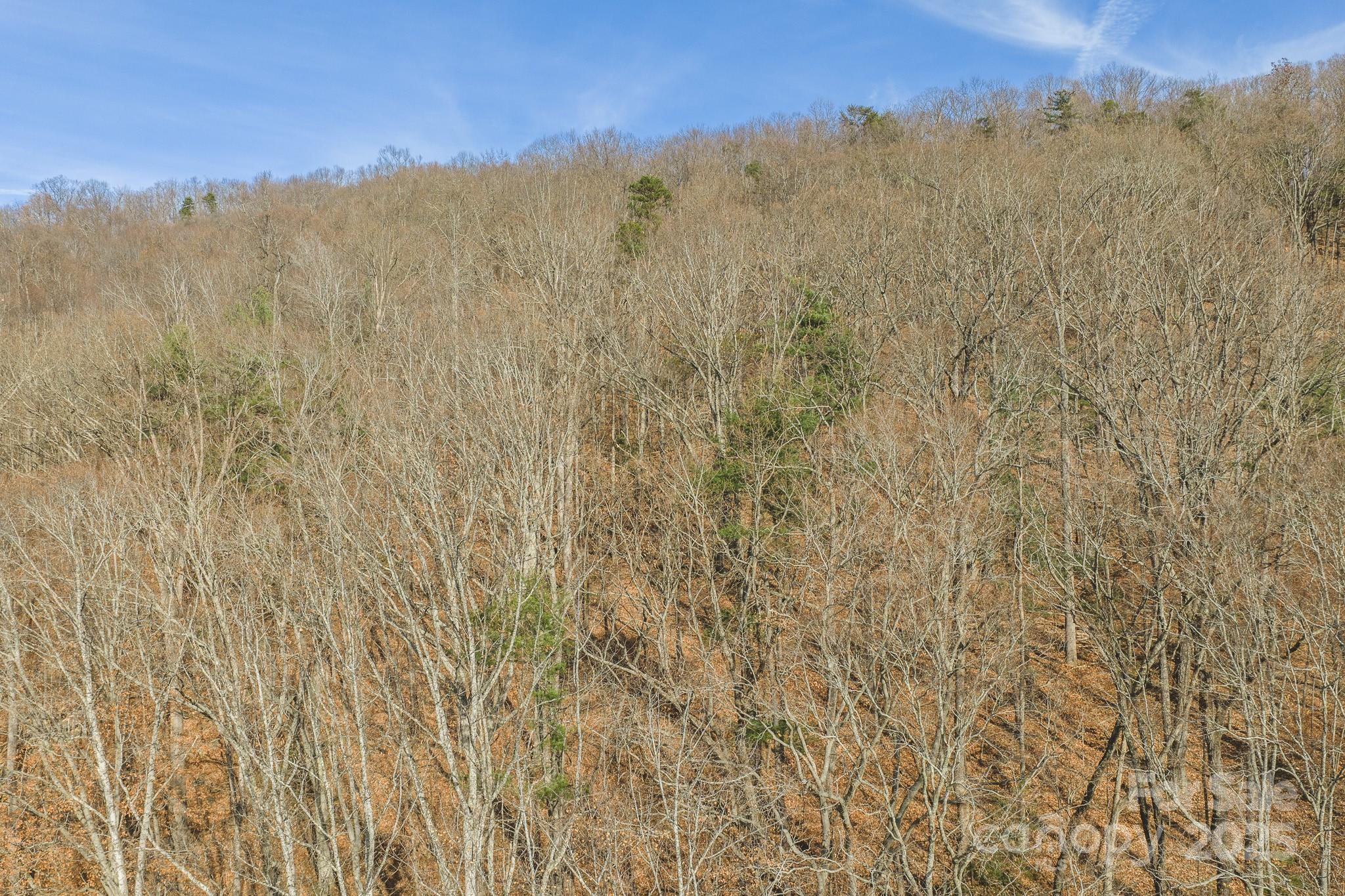 0 East Brocktown Road Moravian Falls, NC 28654 - Photo 15 of 31