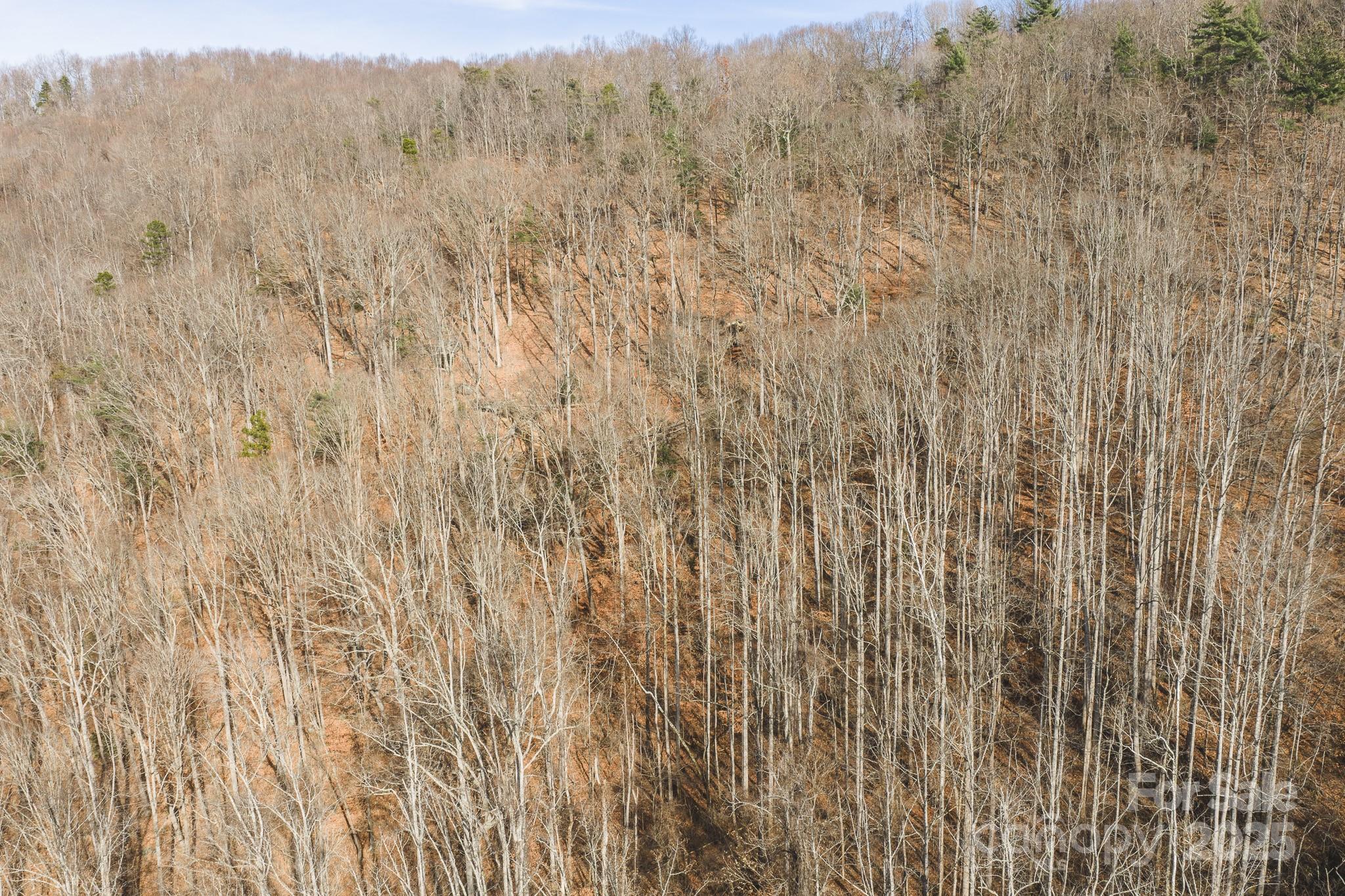 0 East Brocktown Road Moravian Falls, NC 28654 - Photo 16 of 31