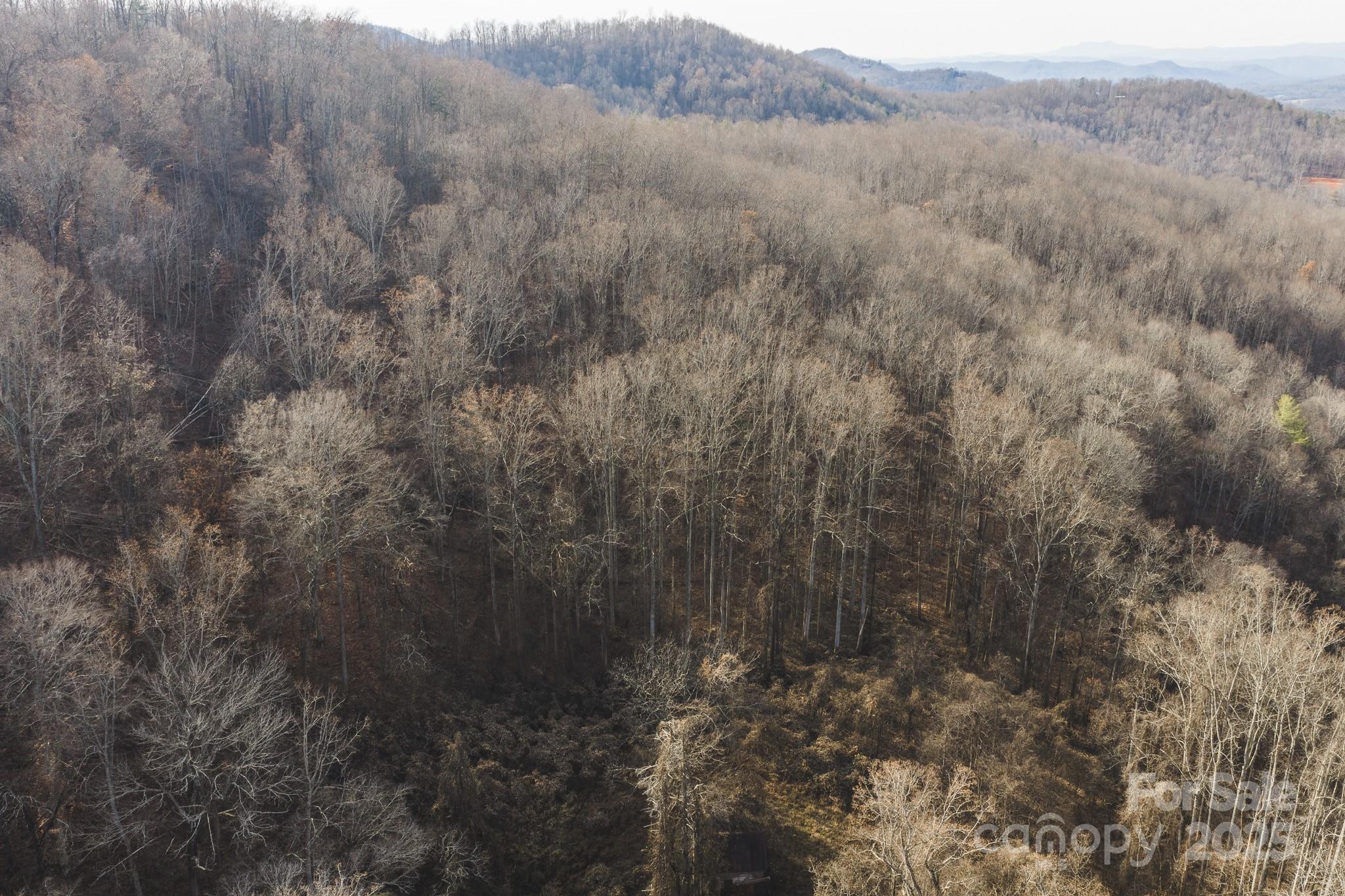 0 East Brocktown Road Moravian Falls, NC 28654 - Photo 17 of 31