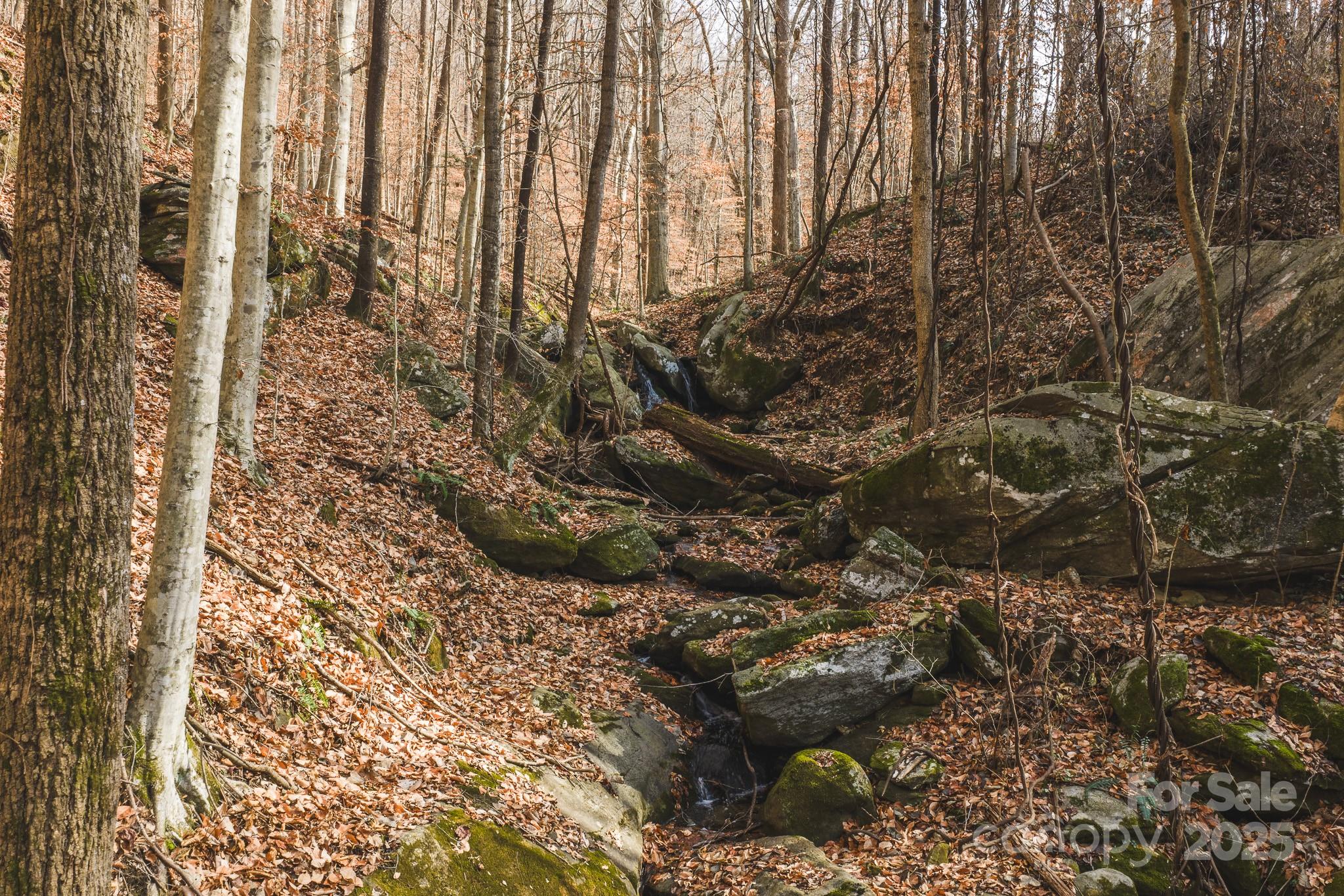 0 East Brocktown Road Moravian Falls, NC 28654 - Photo 18 of 31