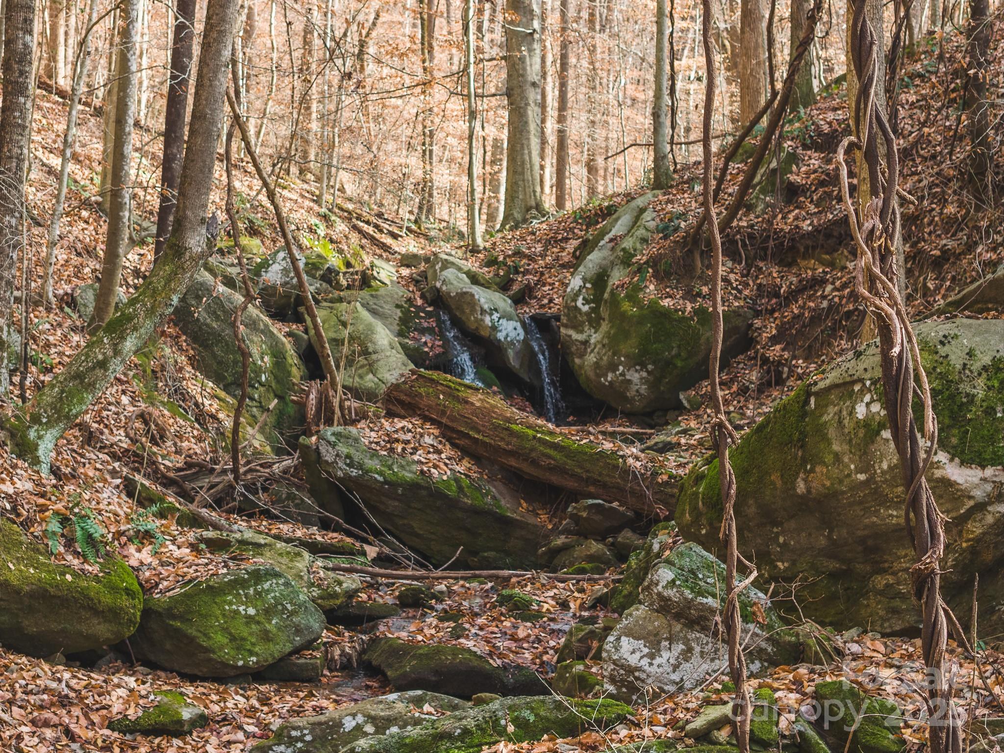 0 East Brocktown Road Moravian Falls, NC 28654 - Photo 19 of 31