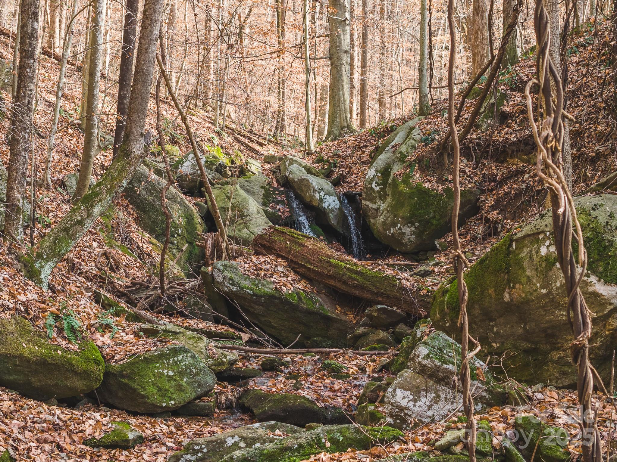 0 East Brocktown Road Moravian Falls, NC 28654 - Photo 20 of 31