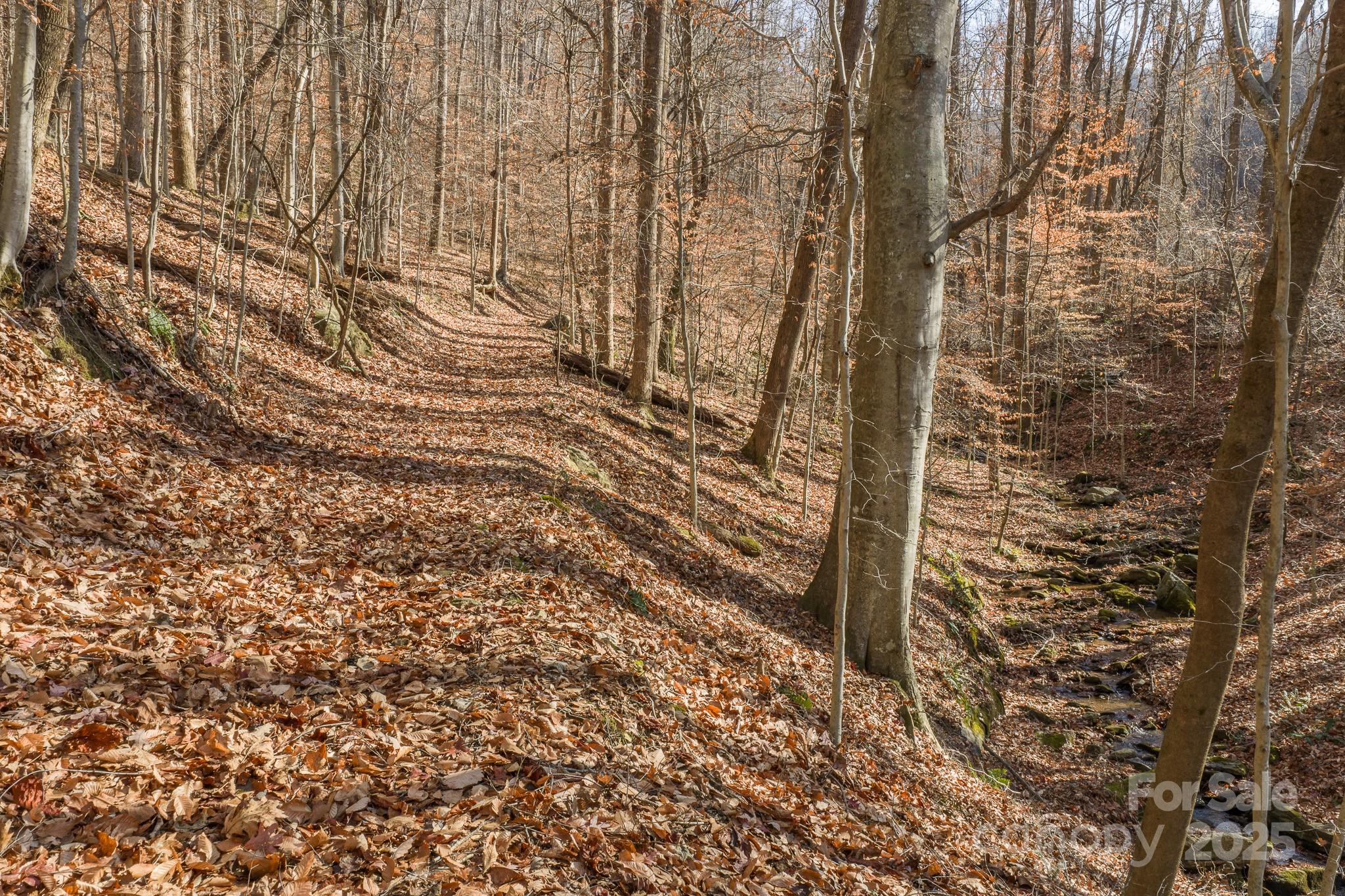 0 East Brocktown Road Moravian Falls, NC 28654 - Photo 2 of 31
