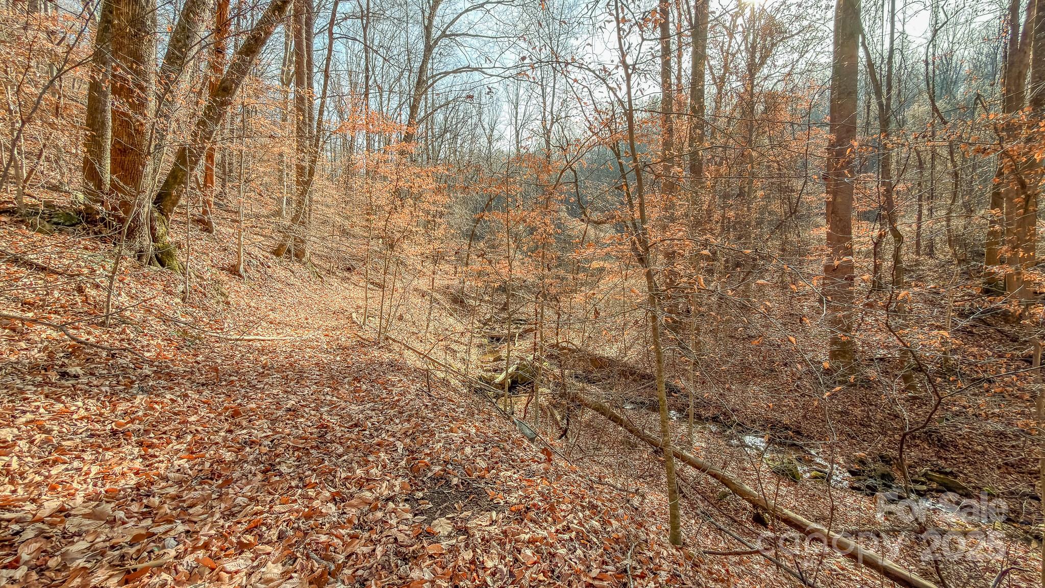 0 East Brocktown Road Moravian Falls, NC 28654 - Photo 21 of 31