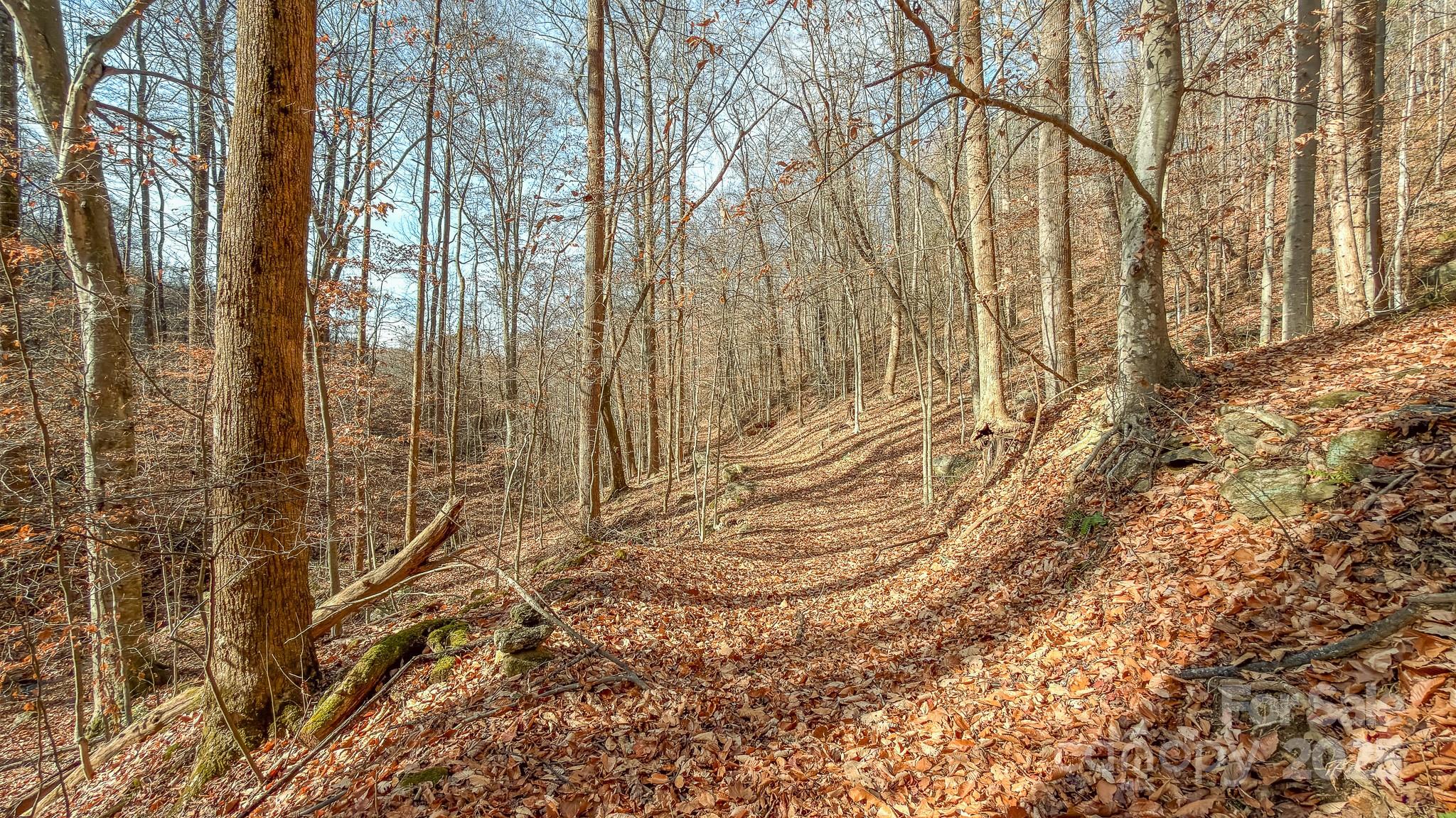 0 East Brocktown Road Moravian Falls, NC 28654 - Photo 22 of 31
