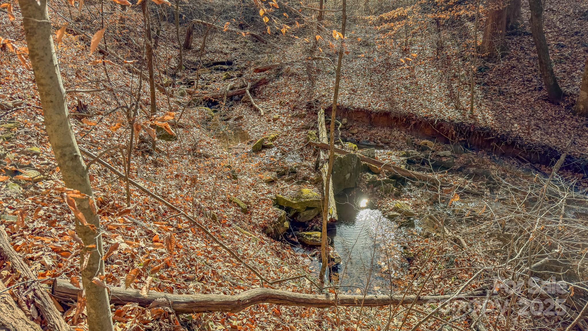 0 East Brocktown Road Moravian Falls, NC 28654 - Photo 23 of 31