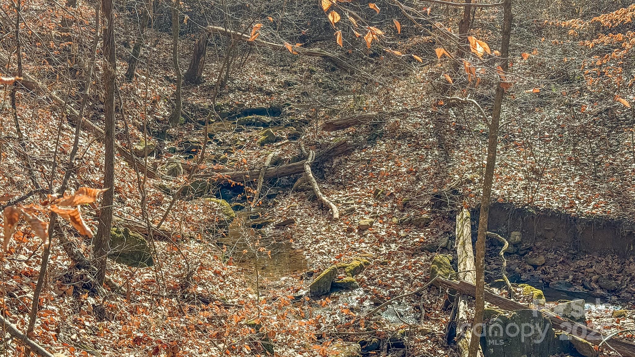 0 East Brocktown Road Moravian Falls, NC 28654 - Photo 24 of 31