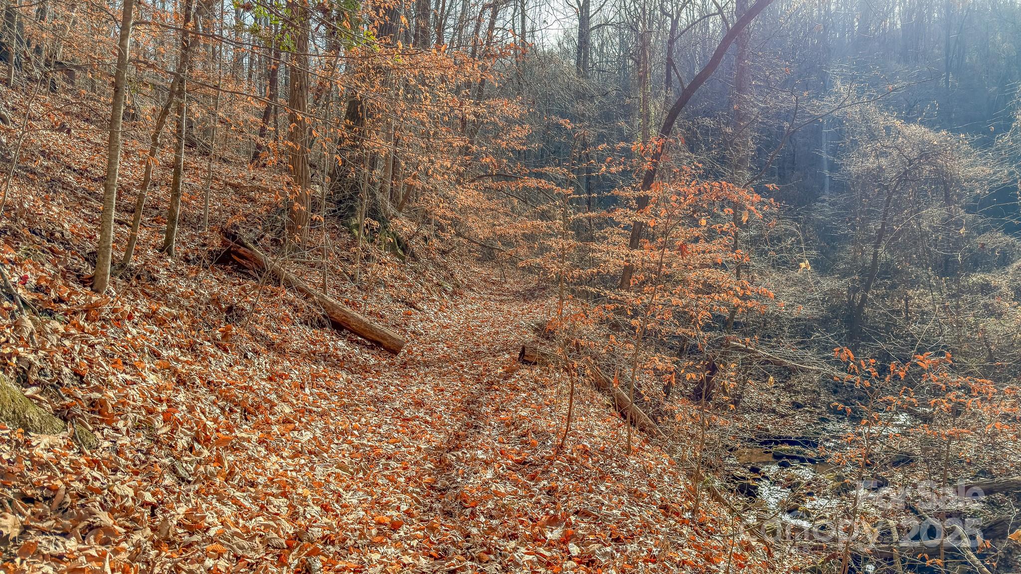 0 East Brocktown Road Moravian Falls, NC 28654 - Photo 25 of 31