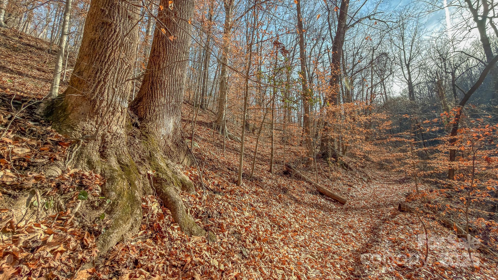 0 East Brocktown Road Moravian Falls, NC 28654 - Photo 26 of 31