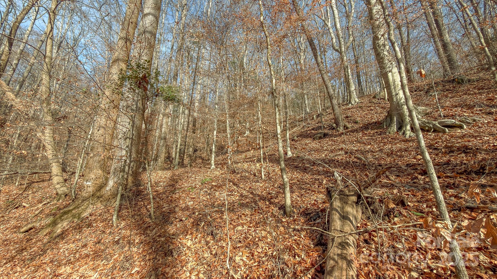0 East Brocktown Road Moravian Falls, NC 28654 - Photo 27 of 31