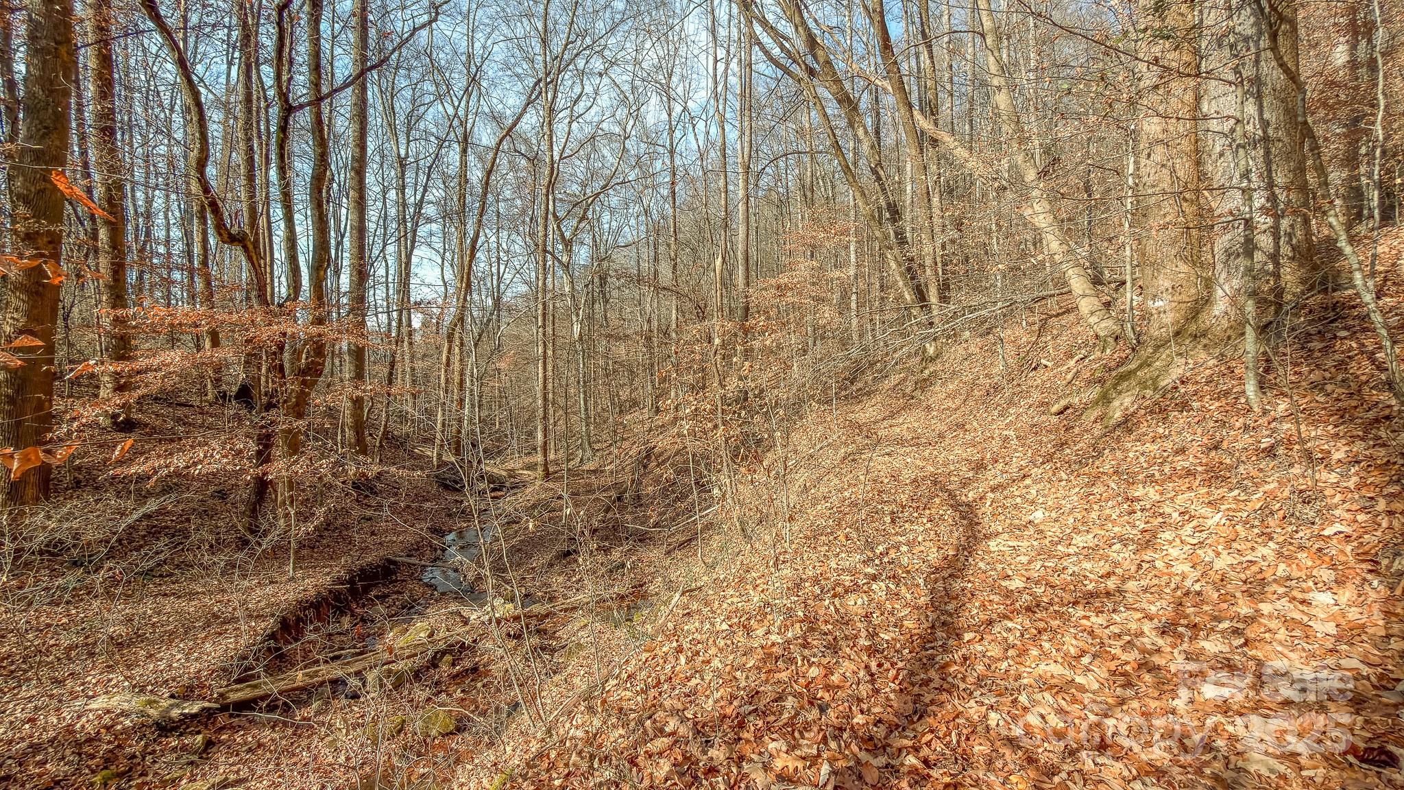 0 East Brocktown Road Moravian Falls, NC 28654 - Photo 28 of 31