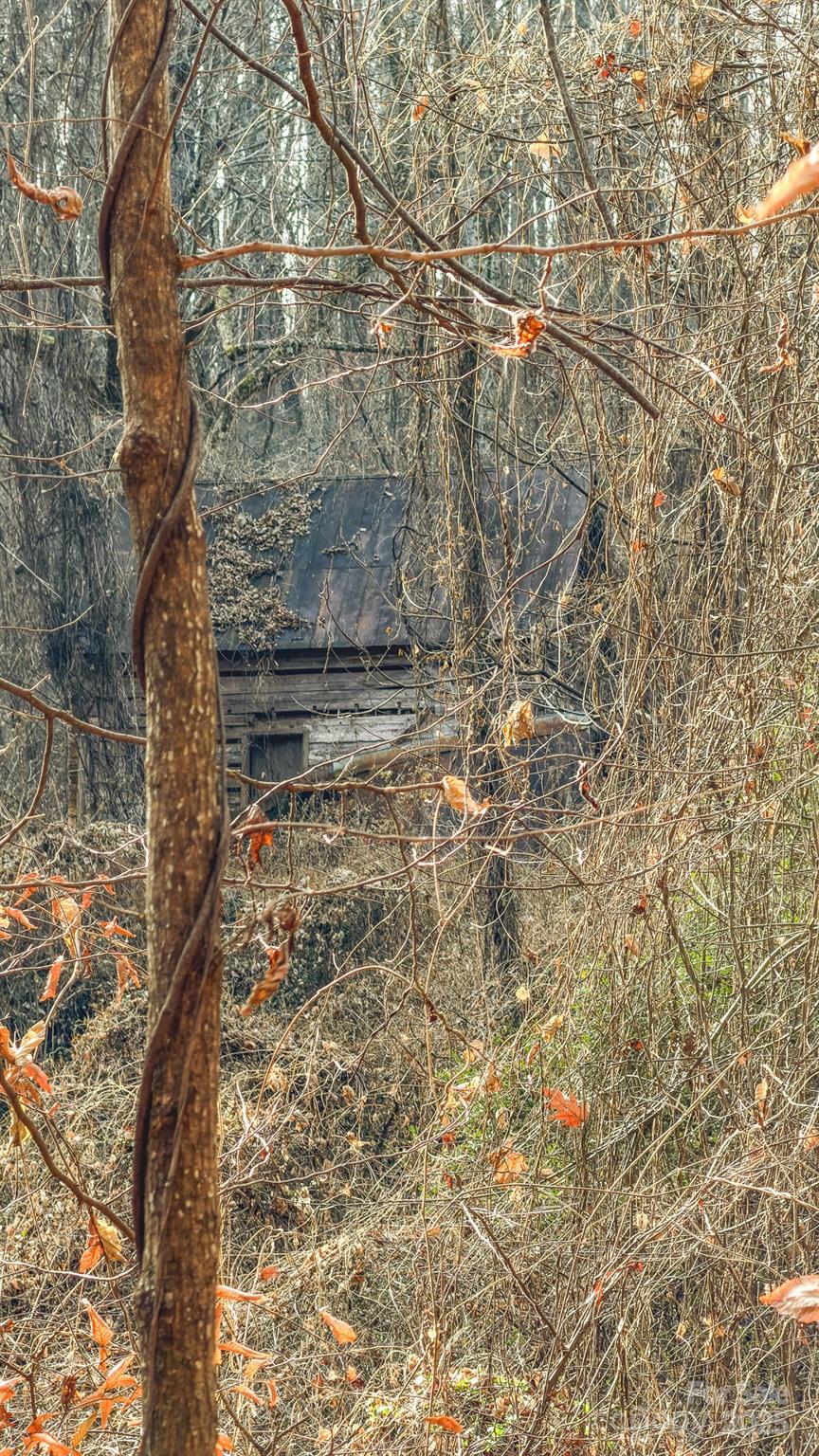 0 East Brocktown Road Moravian Falls, NC 28654 - Photo 29 of 31