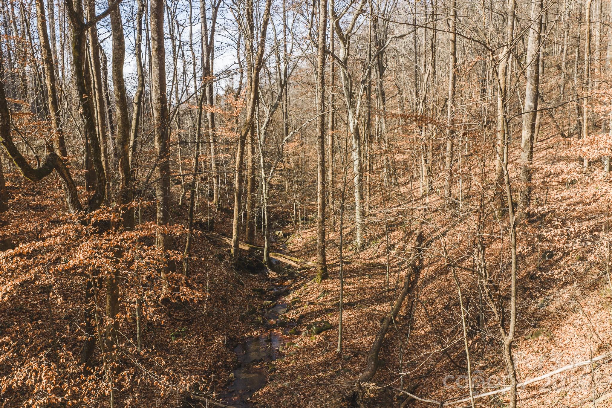 0 East Brocktown Road Moravian Falls, NC 28654 - Photo 30 of 31